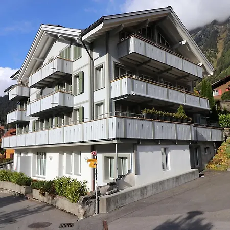 Hirschen 2
